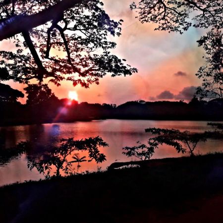 Lake View Dambulla Luaran gambar