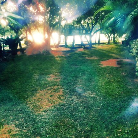 Lake View Dambulla Luaran gambar