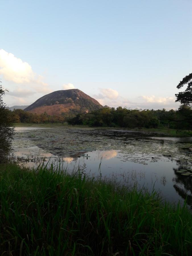 Lake View Dambulla Luaran gambar