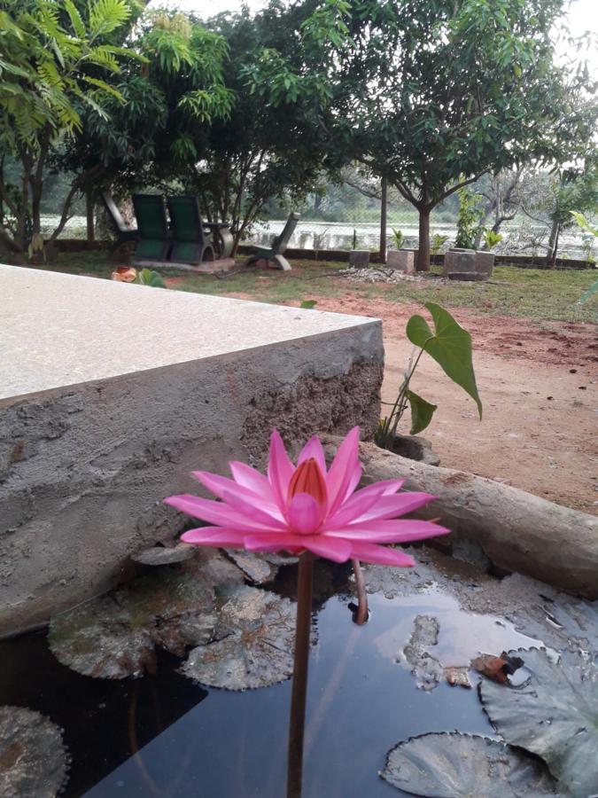 Lake View Dambulla Luaran gambar